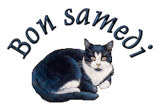Gif animé Bon samedi chat